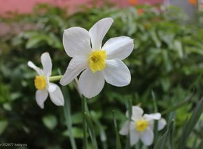IMG_0292