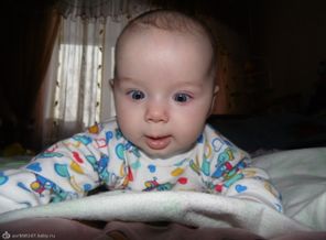 SAM_0055