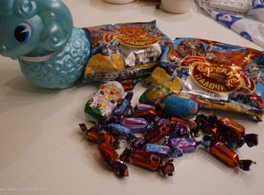 SAM_0008
