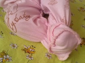 CAM00531_1