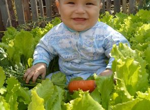 SAM_0547