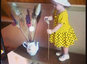 IMG_20140607_222451