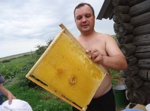 наш медок))