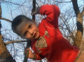SAM_0940