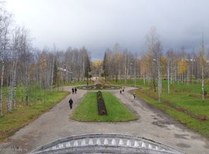 P1030836