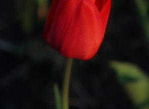IMG_2560