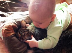 image1416918421.169150