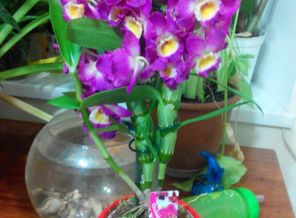 IMG-20150209-WA0003
