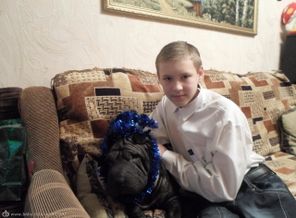 "дети"