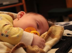 IMG_1668