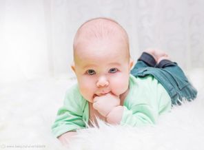 IMG_8562