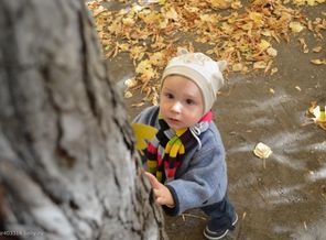 в парке 11.10.14