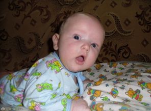 SAM_0019