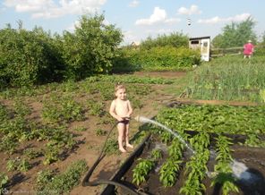 бабушкина помощница ))))