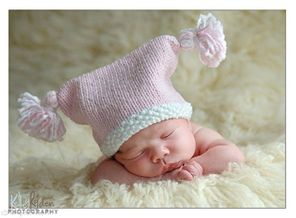 1352918755-0184476-www.nevsepic.com.ua