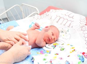 Собираемся домой