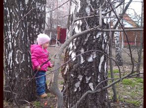 2015-04-27 13-22-36
