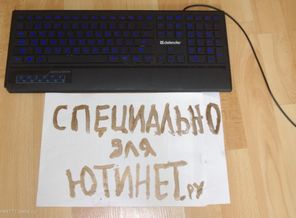 IMGP3648
