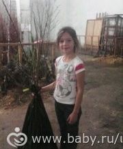 помогает доча сад насаживать у дома