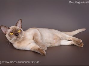 DSC_0569интернет