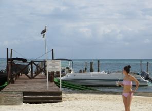 IMG_0484