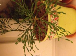 image1414001319.167627