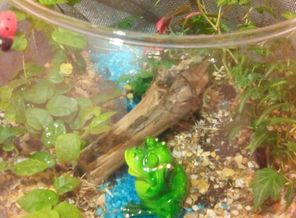 IMG-20150528-WA0032