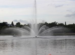IMG_2448