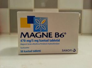 Magne B6