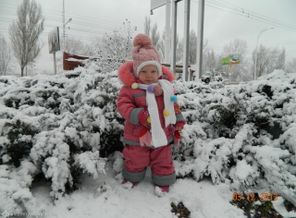 DSCN7986