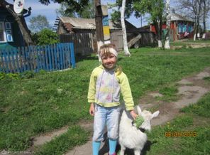 братец Иванушка и сестрица Аленушка