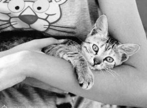 лилу наша котя