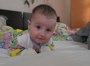 SAM_3012