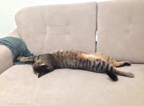 image1399547808.775578