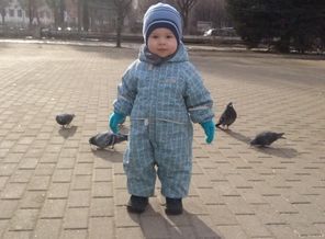 гонял голубей