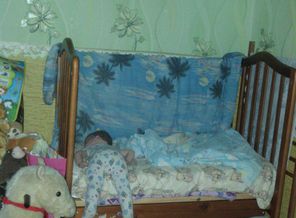 IMG_20140923_071554