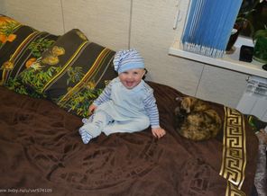 Хохотушки перед сном.