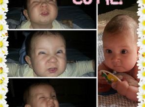 Collage Creator_1