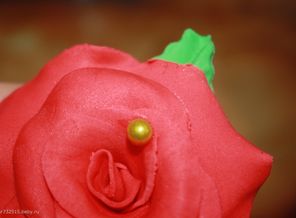IMG_3745