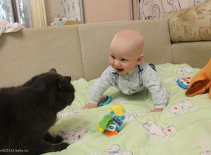 знакомство
