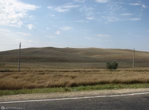 IMG_6701