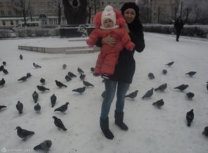 SAM_3946