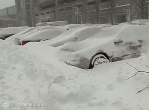 погодка
