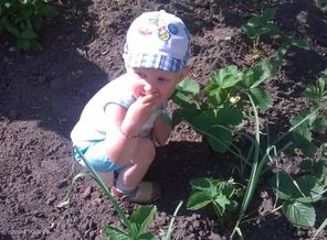 Доедаем ягодки:)
