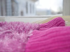_DSC0786-5