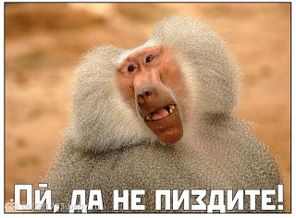 иногда так хочется тут сказать некоторым....)))