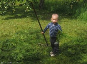 папа косит,а я отношу...))))))