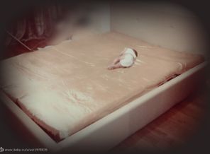 PicsArt_1432847057147