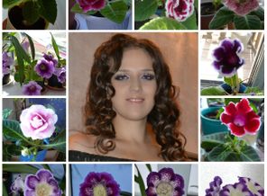 collageл