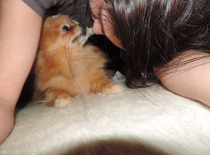 DSCN0243